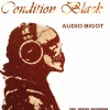 Audio Bigot - Awakening (Original Mix)