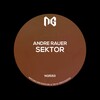 Andre Rauer - Sektor (Original Mix)