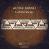 Alesse Kosso - Cuib De Viespi (Original Mix)