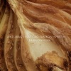 Saccao、Anturage、Cotry、Anton Ishutin - Fashion (Original Mix)