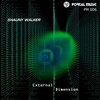 Shauny Walker - External Dimension (Original Mix)