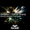 Requiem - Stomach Behavior (Original Mix)