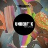 Vanguardist - Triumph (Original Mix)