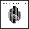 Ayhan Akca - Mad Rabbit (Original Mix)