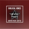 Biblical Jones、DJTruFlava - Hater (Julien Hi Energy Remix)