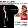 Ethan Wood - Playa Del Sol (Original Mix)