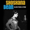 Shoshana Bean - Blood from a Stone