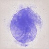 Mad Math - Trip to Triangulum / Interstellar Haven
