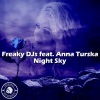 Anna Turska、Freaky DJs《Night Sky (Radio Edit)》[MP3/LRC]