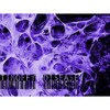 Timofey - Disease (Original Mix)