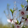 MC初见 - 注定孤独终老