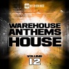 Stereovicius Djs - Christmas 2011 (Original Mix)