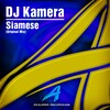 DJ Kamera - Siamese (Original Mix)