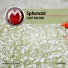Sphenoid - By My Side