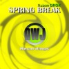 Ruben Drox - Spring Break (Original Mix)