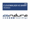 Cloudwalker、Barry - Promised (Original Mix)