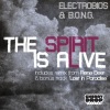 Electrobios、B.O.N.G.《The Spirit Is Alive (Original Mix)》[MP3/LRC]