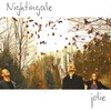 Nightingale - Newmarket Polka/ Trip to Dingle