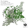 The Dolphins - Creeping (Original Mix)