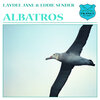 Laydee Jane、eddie sender - Albatros