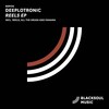 Deeplotronic - Reels (Original Mix)