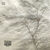 Taigai - Gone Wind (Original Mix)