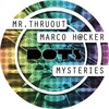 Mr. Thruout - Internal (Original Mix)