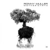 Ronny Muller - Chasing Meteor (Original Mix)
