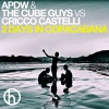 Analog People In A Digital World、Cricco Castelli、the cube guys - 2 Days in Copacabana