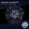 steve taylor、Ash & Alexander - Midnight Silhouette (Original Mix)