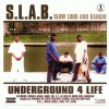 Trae Tha Truth、Archie Lee、Pimp Skinny、J-Dub - Miss My Ni**a Screw