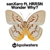 SanXero、HRRSN - Wonder Why? (Original Mix)