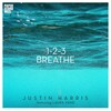 justin harris、Laura Vane - 1, 2, 3 Breathe (House Vocal)