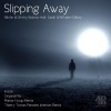 Nikitin、Dmitry Bobrov、Sarah Whittaker-Gilbey - Slipping Away (Original Mix)