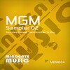 Ruffault - Funky Life (Original Mix)
