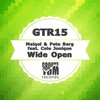 Maiqel、Pete Berg、Cole Jonique - Wide Open (Original Mix)