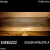 Shebuzzz - Marian (Original Mix)