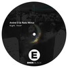 Andrei D、Radu Mirica - Night Fever (Original Mix)
