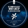 Sammy W & Alex E、I.C.S.、Sammy W、Alex E - What I Like (Original Mix)