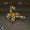 Triscele - Meteorites From The Moon (Original Mix)