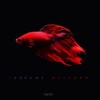10Drums - Malambo (Original Mix)