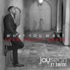 Jay Sean、DaVido、Team Salut - What You Want (Team Salut Remix)