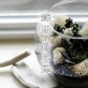 薛乐 - 一生所爱