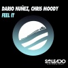 Dario Nuñez、Chris Moody - Feel It