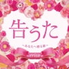 erica - あなたへ贈る歌 (献给你的歌)