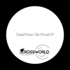 David Perez - Be Proud (Original Mix)