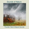 Sounds Of Nature - Rain Early Summer Morning