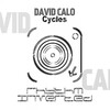 David Calo - Cycles (Original Mix)