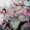 吴坑 - 三生三世十里桃花2