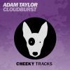 Adam Taylor - Cloudburst (Original Mix)